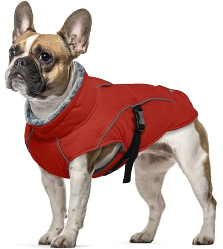 Hundemantel Wasserdicht, Wintermantel für Kleine Hunde Winter Hundejacke Hundeweste Kleine Hunde Warme Kleidung Winter Chihuahua Mantel Französische Bulldogge Mantel(Rot, S)