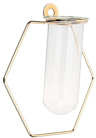 TOBBOMEY Wall Flower Vase and Decorative Glass Propagation Station for Indoor Wall Mounting, Hexagonal Small Size with French Gold Iron Frame, Home Decoration and Plant Propagation