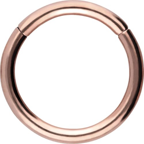 PIERCINGLINE Segmentring Clicker aus Titan - Piercing für Nase, Septum, Ohr, Helix oder Tragus