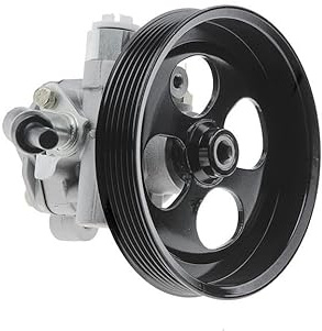 Advantage Auto Parts Compatible with L200 Power Steering Pump 2006-2015