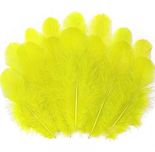 300 gelbe Hahnfedern, Großpackung – 7,6–12,7 cm, Bastelfedern für Hochzeit, Zuhause, Party, Traumfänger-Zubehör und Bastelarbeiten (gelb)