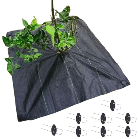 Copertura per Terreno da Giardino,Telo da Giardino con Fori - Con Chiodi Copertura Paesaggistica Nera Per Radici Alberi Erosione Pendii Agricolo Sintetico Serra