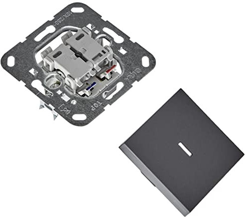 Gira 013628 Tastschalter Kontroll Wechsel System 55 Anthrazit