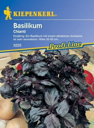 Kiepenkerl Basilikum Rotblättrig