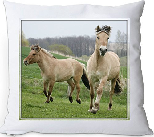 +++ FJORD Fjordpferd Norweger Pferd - Kuschelkissen/KISSEN | PILLOW/Dekokissen - FJO 65