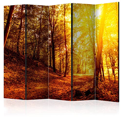 decomonkey Paravent Raumteiler Innen Wald, 225x172 cm, 5-teilig, Beidseitig | Baum, Natur, Herbst, Wohnzimmer, Room Divider, Wall, Raumteiler Stehend, Trennwand, Sichtschutz, Spanische Wand, Holz