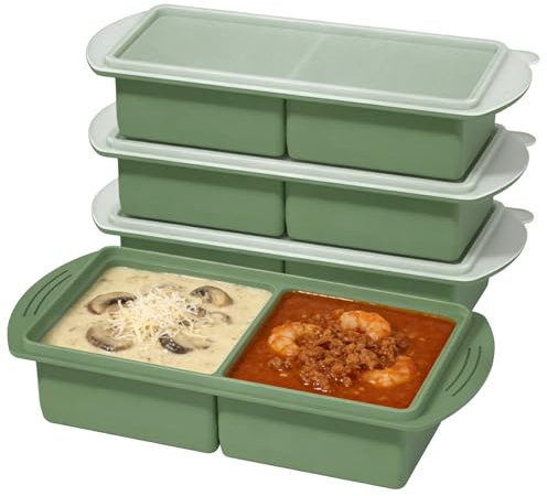 Stampo di Congelazione, Vassoio in silicone per zuppa brodo e salsa, Set di 4 con coperchio ermetico graduazione 250ml 500ml senza BPA impilabile