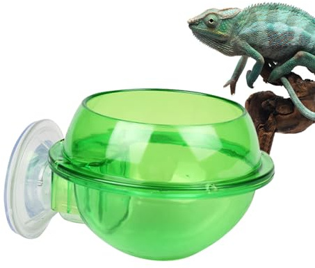 Spalla per Reviles - Classe E Championks | con Ventoso per Draghi Barbuti, Lucertole, Animali Domestici, Acqua E Cibo. Insetti, Grilli E di Farina.