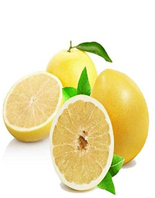 pianta di pompelmo albero di pompelmo pianta di agrume varietà pompelmo età 2 anni pianta vera venduta da eGarden.store (giallo)