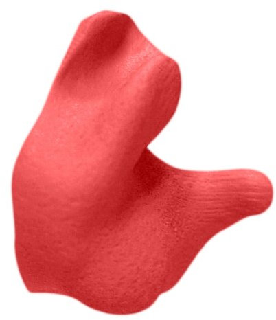 Radians CEP001-R Custom Molded Earplugs (Red)