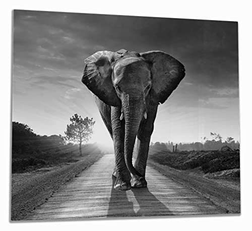 Wallario Herdabdeckplatte/Spritzschutz aus Glas, 1-teilig, 60x52cm, für Ceran- und Induktionsherde, Elefant bei Sonnenaufgang in Afrika schwarzweiß
