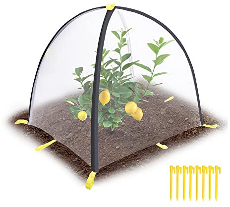 Insect Barrier Plant Cover Tent-Bug Guard Cover with Stakes-Insect Bird Barrier Netting Mesh for Protect Vegetable Plants Fruits Flowers