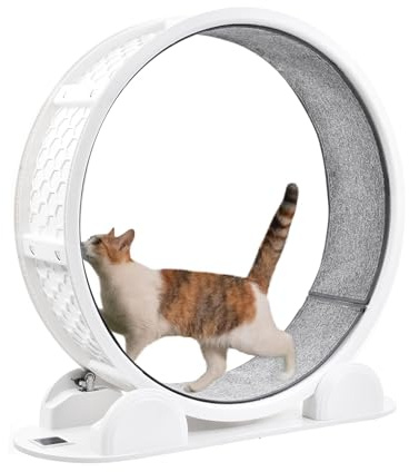 Rueda de Ejercicio para Gatos Grande de 103,8 cm, con Carga Solar y podómetro, silenciosa, Ideal para Entrenamiento de Gatos de Interior ygatitos