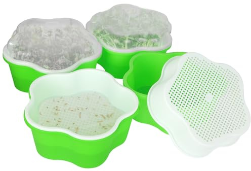 Set di 4 ciotole per germoglio, semi grandi e germinazione, ciotola per erba di gatto, coltivazione piantine, piselli