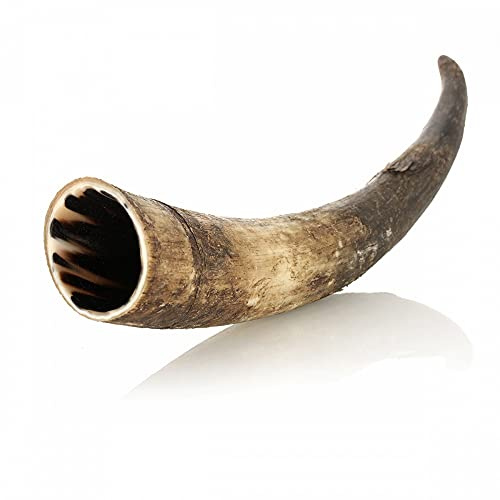 Eburya Wikinger Trinkhorn ca. 0,3 Liter - außen Natur/Roh - echtes Rinderhorn
