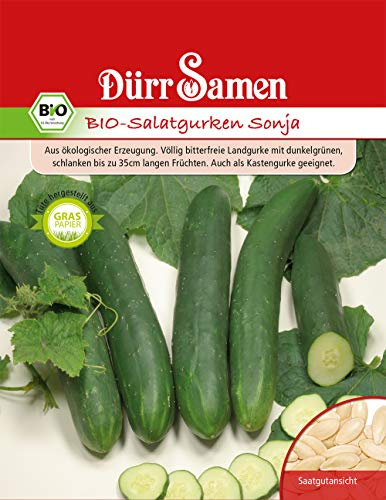 Gurken (Bio Salatguken Sonja)