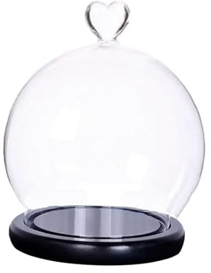 ALCXAZS Cloche décorative Transparente avec Socle en Bois, idéale pour