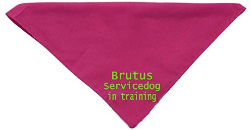Hundehalstuch Servicedog in training mit Wunschname