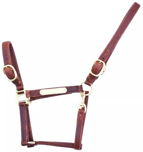 Reitsport-Zaumzeug Aus Rindsleder Anatomische Pferdezaumzeug Verstellbares Bequemes Und Langlebiges Ledergeschirr (Size : X-Large)