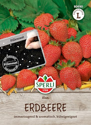 Sperli Erdbeerensamen Elan, F1, Pillensaat 80690 - Immertragend & aromatisch - Kübelgeeigent - Inhhalt für 7 Pflanzen - Obstsamen, Samen Obst, Pillensaat