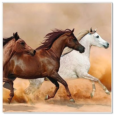 banjado Magnettafel 50 x 50 cm/Magnetwand aus Metall/Magnetpinnwand als Memoboard/Pinnwand Magnettafel Küche, Büro, Kinderzimmer inkl. 4 Magnete & Montageset - Motiv Wilde Pferde