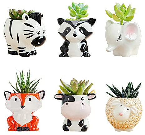 DIYOMR Grazioso vaso in ceramica a forma di animale, piccolo vaso per piante grasse a forma di cartone animato, per mini piante, fiori, cactus, ceramica liscia e lucida, piante non incluse (set da 6