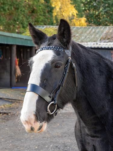 Aces Equine Leather Hunter Bridle Black With 2 Inch Noseband and 1 Inch Plaited Browband (COB)