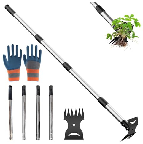 Outil de désherbage à long manche de 148 cm, extracteur de mauvaises herbes à long manche, râteau 2 en 1 pour désherbage, désherbeur robuste