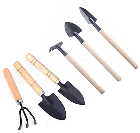 Wagoodter - Set di 6 mini attrezzi da giardinaggio per giardinaggio piccoli e leggeri rastrelli in ferro per interni ed esterni (A)