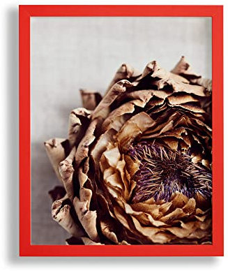 VO design Finn Premium Bilderrahmen Posterrahmen 20x60 cm Rot Ferrarirot Knallrot 60x20 cm mit weisser Rückwand und Antireflex Acrylglas
