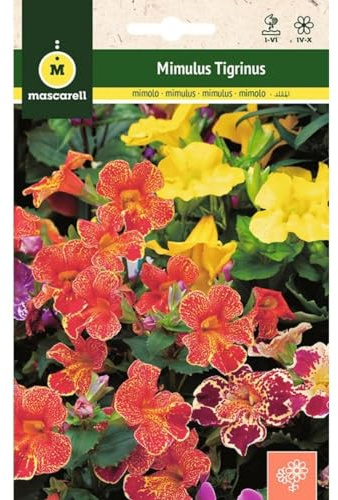 Mascarell Semillas, MIMULUS TIGRINUS, Semillas Flores Exterior para Decoración, 0,25 Gramos