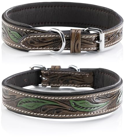 Jack & Russell Unikat Hundehalsband aus Leder, Hand-geschnitzt & gepolstert– Halsband aus Büffelleder, Hunde Lederhalsband braun/dunkelgrün Hailey (S (26,0-34,0cm))