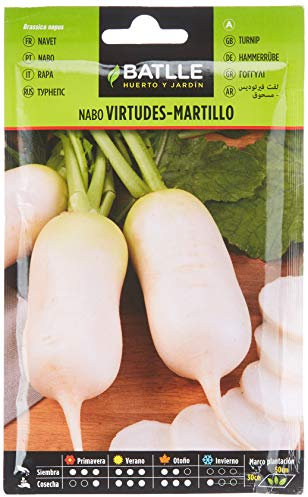 Semillas Batlle Rapa Virtù - Martello Molto precoce