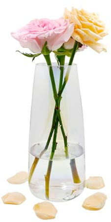 Florero Moderno de Cristal Transparente, 22 CM de Alto para Decoración de Mesa, Decorativo para Hierba de Las Pampas, Tulipanes, Orquídeas (Heptacromo)