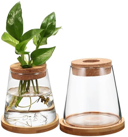 TOGEVAL 2 pièces Lot de Vases Hydroponiques Verre avec Bouchon Perforé et Support Station de Propagation Compacte pour Plantes Dintérieur et Décoration Naturelle