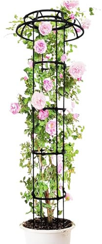 Siuwddee Obelisco Da Giardino Traliccio,Struttura Tonda a Fungo con Cima Arrotondata - Supporto Ventoso Resistente Per Cetrioli Ortaggi Zucchine Fagioli Vite Edera E Rose