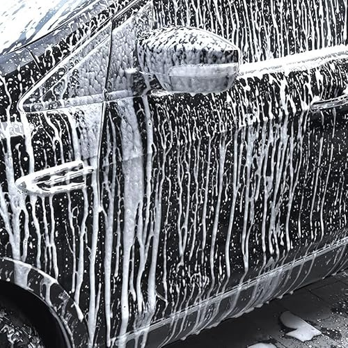 Xiuganpo Pulverizador Manual de Espuma, Ahorra Eficientemente Líquido de Lavado de Autos, Gran área de Pulverización, Bomba de Lavado de Autos para Jardinería Doméstica, Material HDPE de 2L (Negro y