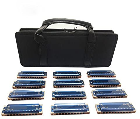 Standard Mundharmonikas Diatonische Mundharmonika Set Mit 12 10 Löchern Diatonische Harfe Mundharmonika Set 12 Tasten (Color : 02)