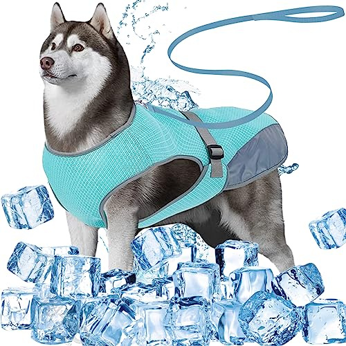 DKDDSSS Hundekühlweste, Atmungsaktiv Sommer Cooler Hundejacke, Hund Kühlweste, Cooler Komfortabler Hundemantel, für Kleine Bis Mittelgroße Hunde Aktivitäten Draußen Training (Blue, L)