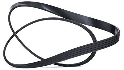 Dayco 5PK1030 Correa Trapecial Poli V