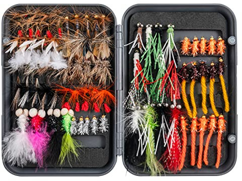 Goture Fliegenfischer-Fliegen-Kit – 100PCS Fliegenfischer-Köder mit Fliegenfischerbox – Fliegenfischer-Sortiment-Kit für Bassforellen-Lachsangeln – Trockenfliegen Nassfliegen Streamer Nymphen