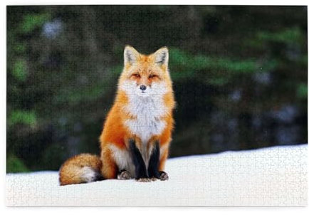 Lustiger Fuchs-Druck 1000 Teile Puzzle Premium Holzpuzzle Geschenke Für Erwachsene Familie Hochzeit Abschluss Geschenk Vertikale Version