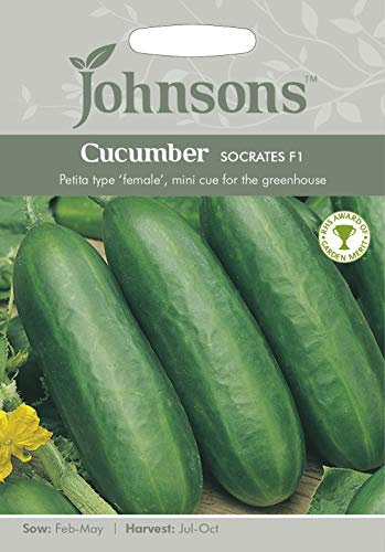 Johnsons Seeds Cucumber Socrates F1 Seed
