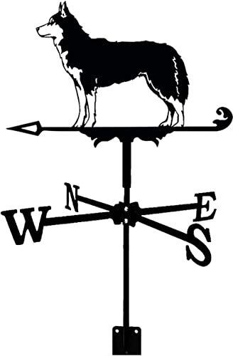 CLRAWSHB Girouette avec indicateur de Direction du Vent monté sur Le Toit, Outil de Mesure en métal pour Jardin, décoration pour Toit extérieur, Ferme, Cour