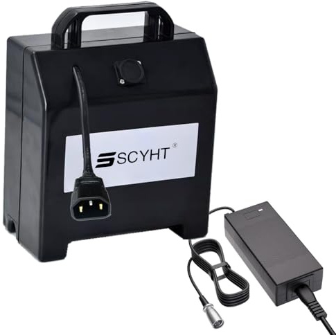 SSCYHT Batería de Litio 24 V, 12 Ah, 20 Ah, 30 Ah, 32 Ah y 15 Ah Batería Repuesto 24 V Baterías sillas Ruedas eléctricas con Cargador para Motor 250 W a 800 W,24v25ah Character 3pins