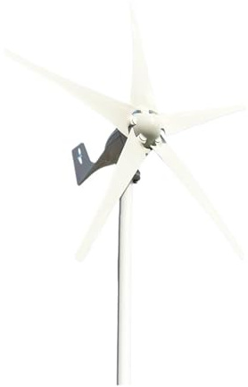 Turbina aerogeneradora Horizontal de 5000W, 5 cuchillas, 48V, 24V, con controlador de cargador MPPT, fuera de la red for uso doméstico Para el hogar, la granja, el alumbrado público y l(With Mppt Cont