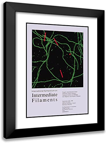 ArtDirect National Institutes of Health 14x18 Black Modern Frame and Double Matted Museum Art Print Titled - International Symposium on Intermediate Filaments (1986)