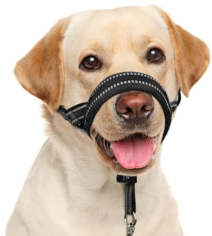 STREAMVOY No-Pull Hundehalsband mit gepolsterter Nasenschlaufe, verstellbares reflektierendes Trainingshalfter für mittelgroße und große Hunde, Anti-Erstickungs-Design, bequem und sicher (L)