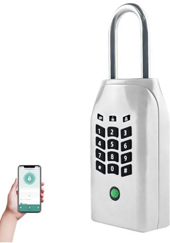 TenixLox Smart Key Lock Box con app e impronte digitali, scatola di sicurezza da appendere per chiavi da esterno (Argento)