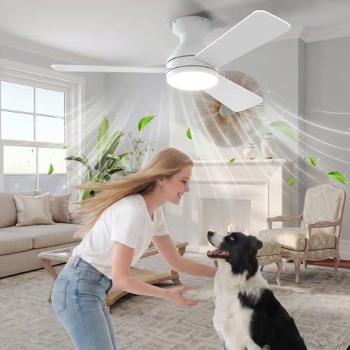 Passky Ventilador de Techo con Luz Silencioso 107cm | Mando a Distancia | Motor DC | 3 Temperaturas Luz Regulables | Función Verano-Invierno | 6 Velocidades | Temporizador | Interior/Exterior | Blanco